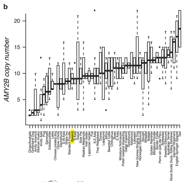 Image from Arendt et al 2016