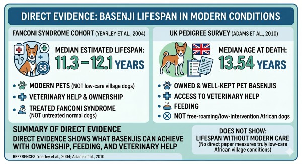 African village dog survival and lifespan