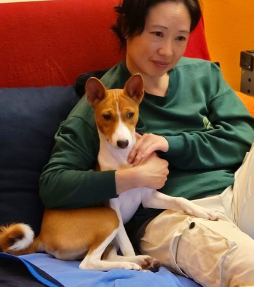 Jane and Sachi the Basenji